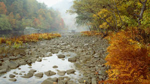 Tennessee Rocky Creek Wallpaper