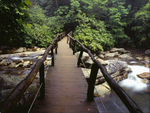 Tennessee Smoky Mountain Wooden Bridge Wallpaper