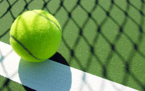 Tennis Ball Net Shadow Wallpaper
