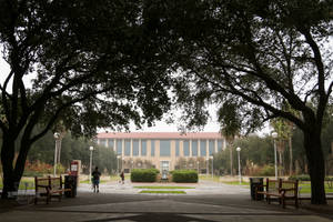 Texas Am University Campus Grounds Wallpaper