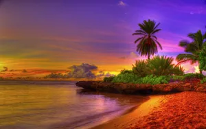 Texas Country Beach Wallpaper