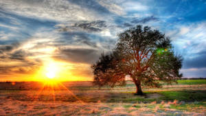 Texas Country Side Field Wallpaper