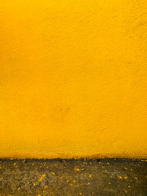Texture Coarse Yellow Concrete Wall Wallpaper