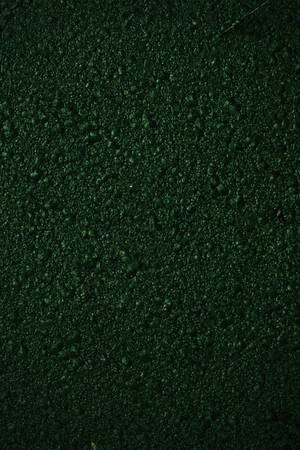 Texture Green Bumpy Moss Wallpaper
