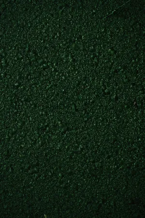 Texture Green Bumpy Moss Wallpaper