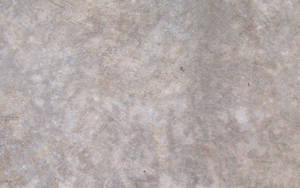 Texture Smooth Cement Wall Wallpaper