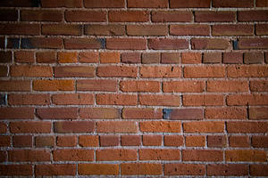 Textured Brick Wall Wallpaper