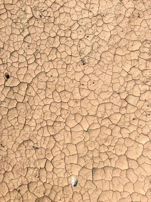 Textured Landscape Of Dry And Cracked Mud Wallpaper