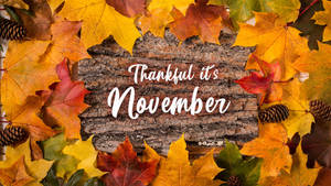 Thankful It's November Autumn Leaves Wallpaper