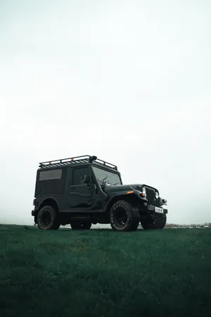 Thar 4k Green Field Wallpaper