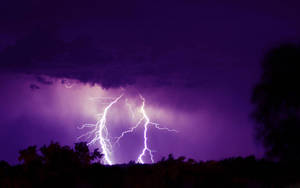 The Beauty Of A Captivating Lightning Strike Wallpaper