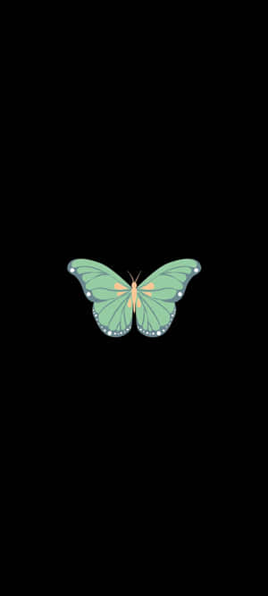 The Beauty Of Nature - A Delicate Green Butterfly Wallpaper