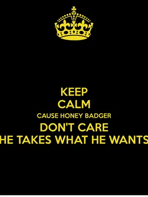 The Best Attitude; Don't Care Wallpaper