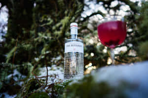 The Botanist Islay Dry Gin Cocktail Chilled In Snow Wallpaper