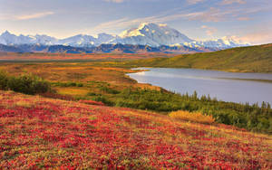 The Breathtaking View Of The Great Smoky Mountains Wallpaper