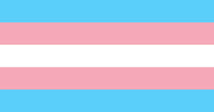 The Colorful Symbol Of Trans Solidarity Wallpaper