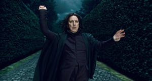 The Dark Potions Master - Severus Snape Wallpaper