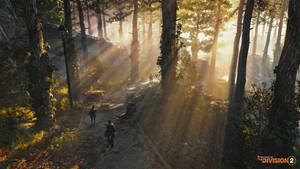 The Division 2 In Forest Wallpaper