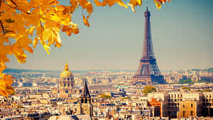 The Eiffel Tower Lit Up At Night In Paris, France Wallpaper