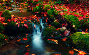 The Fantastic Fall Colors Of A New England Autumn Wallpaper