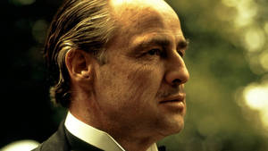 The Godfather Don Vito Corleone Wallpaper