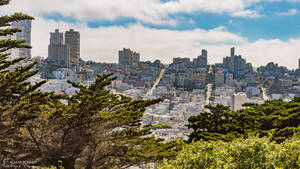 The Golden City Of San Francisco From Coit Tower Wallpaper