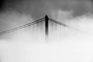 The Golden Gate Bridge Of San Francisco In Black And White Wallpaper