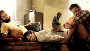 The Hangover Part Ii Wolfpack Trio Monkey Tired Wallpaper