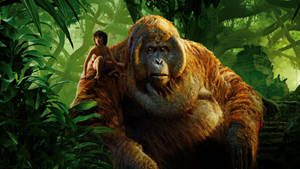 The Jungle Book Mowgli And King Louie Wallpaper