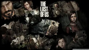 The Last Of Us Compilation Wallpaper
