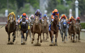 The Lined Horses In Horse Racing Wallpaper