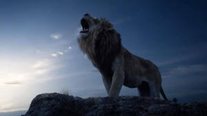 The Lion King Simba's Roar Wallpaper