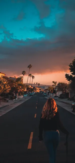 The Magnificent California Sunsets Wallpaper