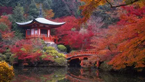 The Misty Mountains Of Japan; Wallpaper