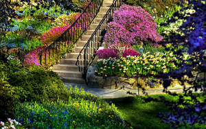 The Most Beautiful Spring - Flowers Blooming In Sunny Meadow Wallpaper