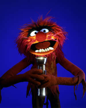 The Muppets - The Muppets - Muppets - Muppets - Muppets - Wallpaper