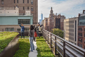 The New School University Center Green Roof Wallpaper