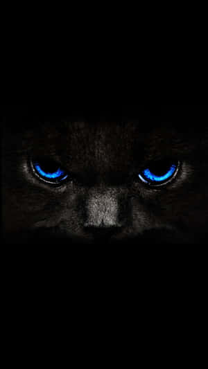 The New Sleek Black And Blue Iphone Wallpaper