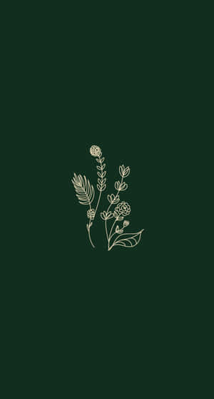 The Perfect Shade Of Green For Your Iphone. Wallpaper