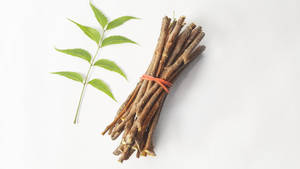 The Power Of Neem In Ayurveda Wallpaper