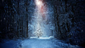 The Serene Beauty Of A Winter Forest Wallpaper