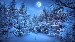 The Serenity Of Falling Snowflakes Wallpaper