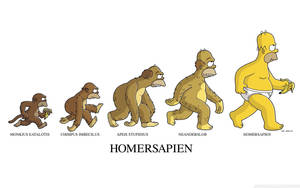 The Simpsons Evolution Wallpaper