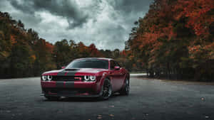 The Striking Dodge Challenger 4k Wallpaper
