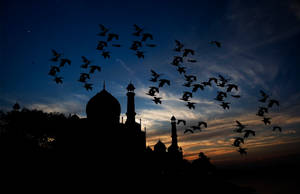 The Taj Mahal Shadow Wallpaper