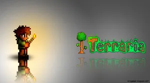 The Terraria Guy Torch Wallpaper