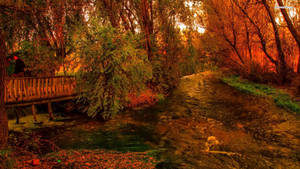 The Tranquility Of Autumn In November Wallpaper