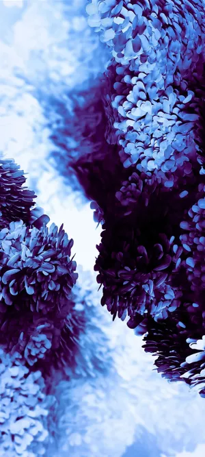 The Ultimate Powerhouse - Samsung S20 Wallpaper