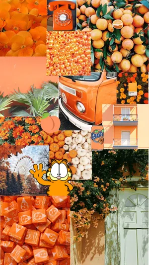 The Ultra Stylish Orange Iphone Wallpaper