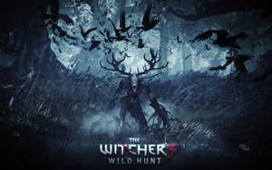 The Witcher 3 Wild Hunt Wallpaper Wallpaper